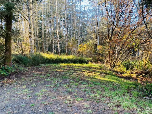 549 Duck Lake Drive NE, Ocean Shores, WA 98569