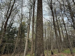 Saunders Gulf Rd Lot 5, West Winfield, NY 13491
