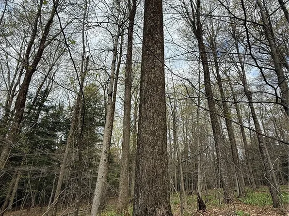 Saunders Gulf Rd Lot 5, West Winfield, NY 13491