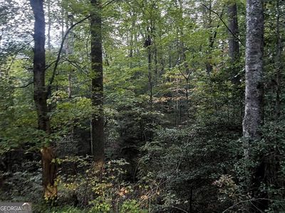 0 Candy Mountain Rd, Murphy, NC, 28906