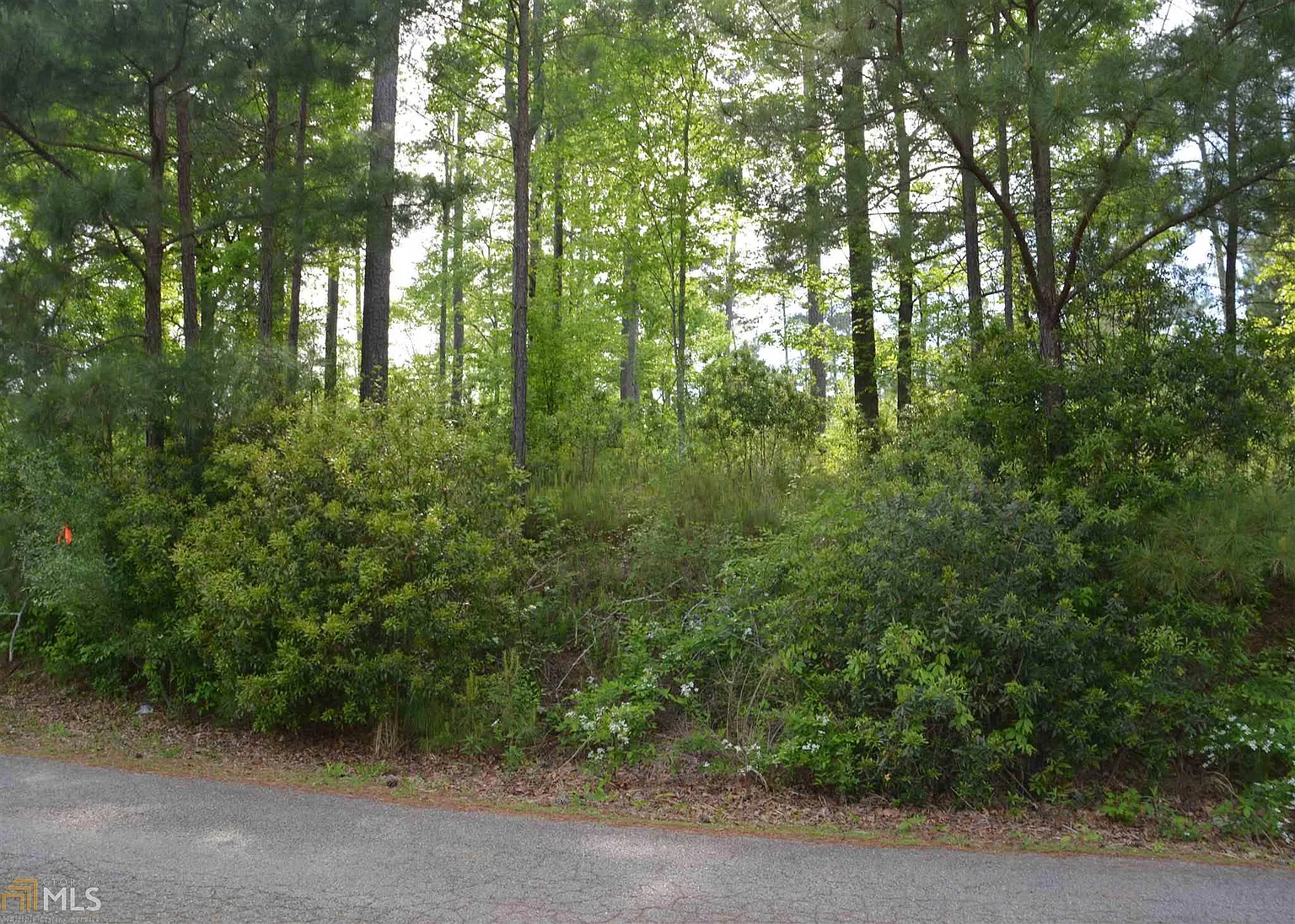 1201 Glen Eagle Dr photo 1