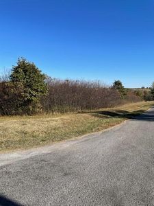 Lot 1 Stonegate Subdivision, Ash Grove, MO, 65604