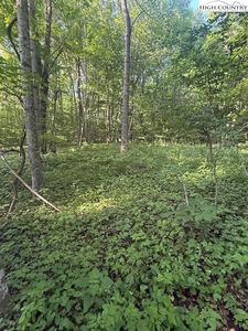 Lot 10 & 11 Billy Bob Lane, Creston, NC, 28615