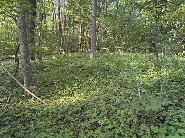 Lot 10 & 11 Billy Bob Lane, Creston, NC 28615