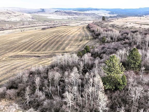 5th image of 68881 Indian Creek Rd