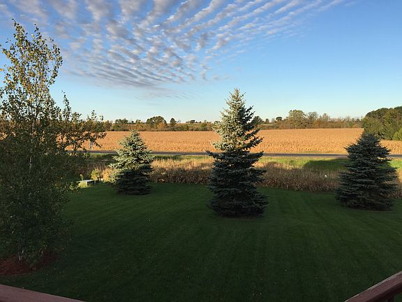 Backyard view 2
