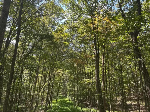 LOT 13 Hickory Hollow Sub Rd Lot 13, Tracy City, TN 37387