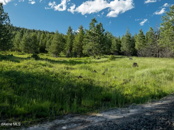 PARCEL Nine Sunflower Dr, Saint Maries, ID 83861