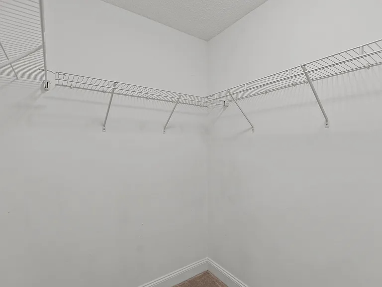 3109 John Willis Rd — Photo 26