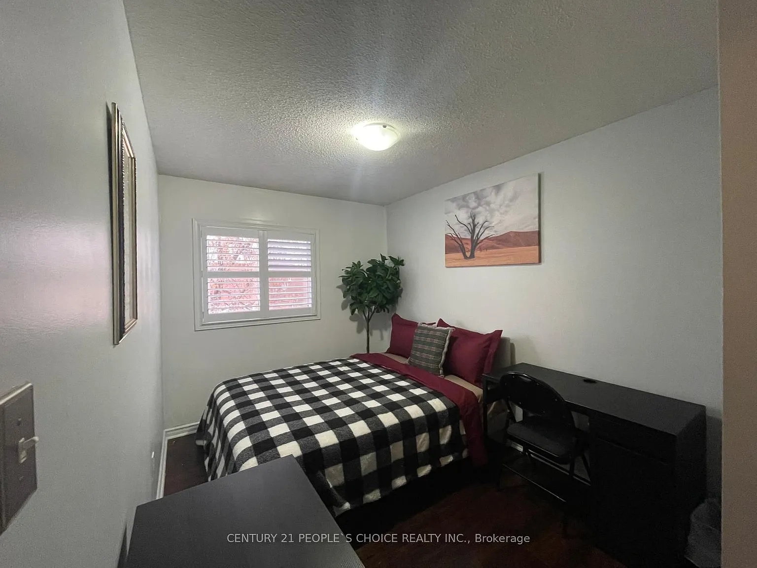 1 bed, $995 — Photo 1
