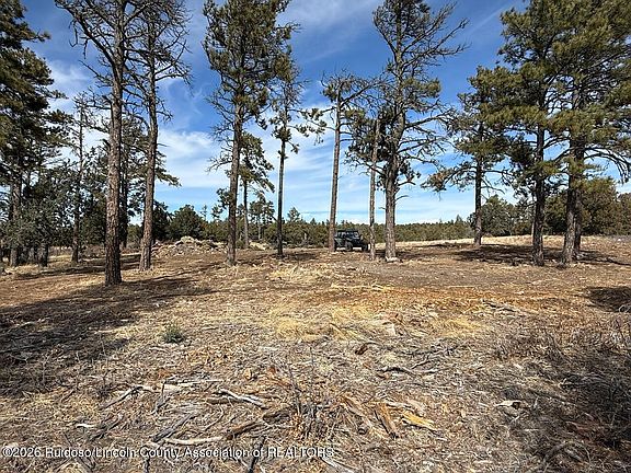 4th image of 280 Indian Divide Rd