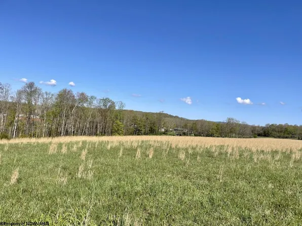 10A Memorial Dr, Bruceton Mills, WV 26525