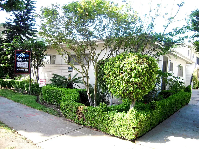 o4430 — Photo 2