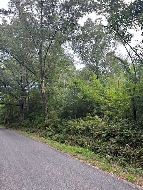 2nd image of Betts Bottom Rd