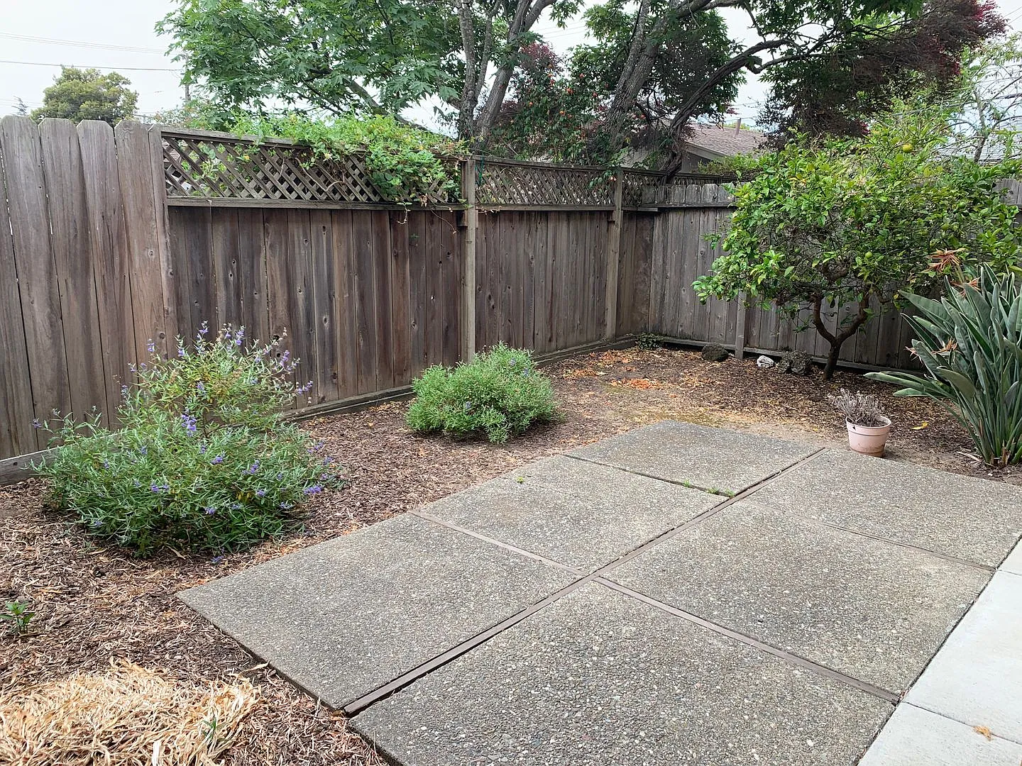 King Francisco St. — Photo 4