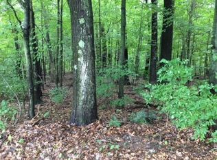 Middle Lake Rd, Twin Lake, MI 49457