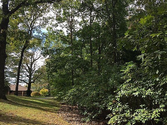 2nd image of 00 Plateau Ln