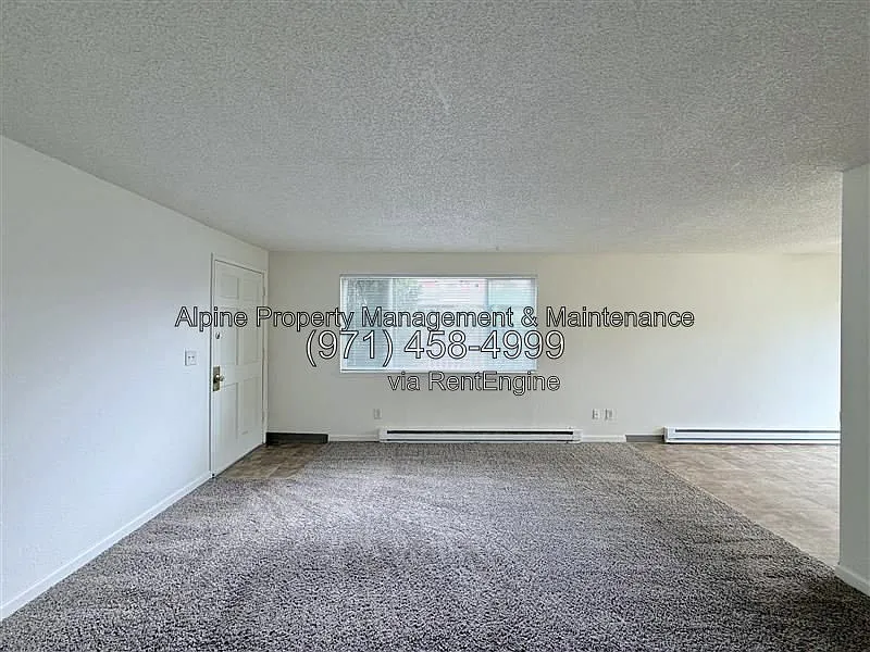 2 bed, 1.0 bath, 833 sqft, $1,595 — Photo 3