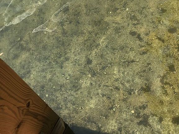 Clear Water!
