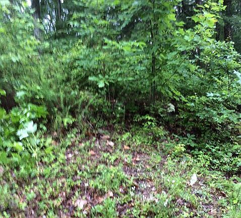 3rd image of 25 Big Rock Trl