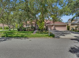 18108 Sugar Brooke Dr, Tampa, FL 33647
