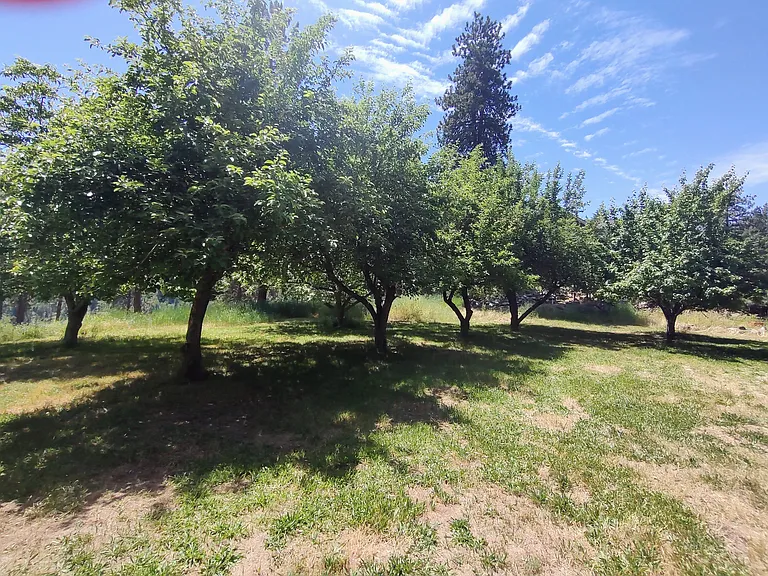 9960 W Bennion Rd — Photo 19