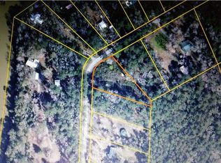 7773 NW River Rd, Bristol, FL 32321