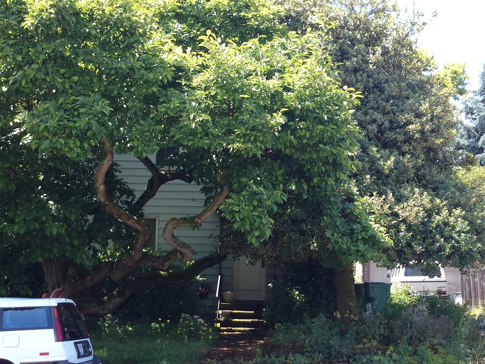 1st image of 7011 24th Ave NW