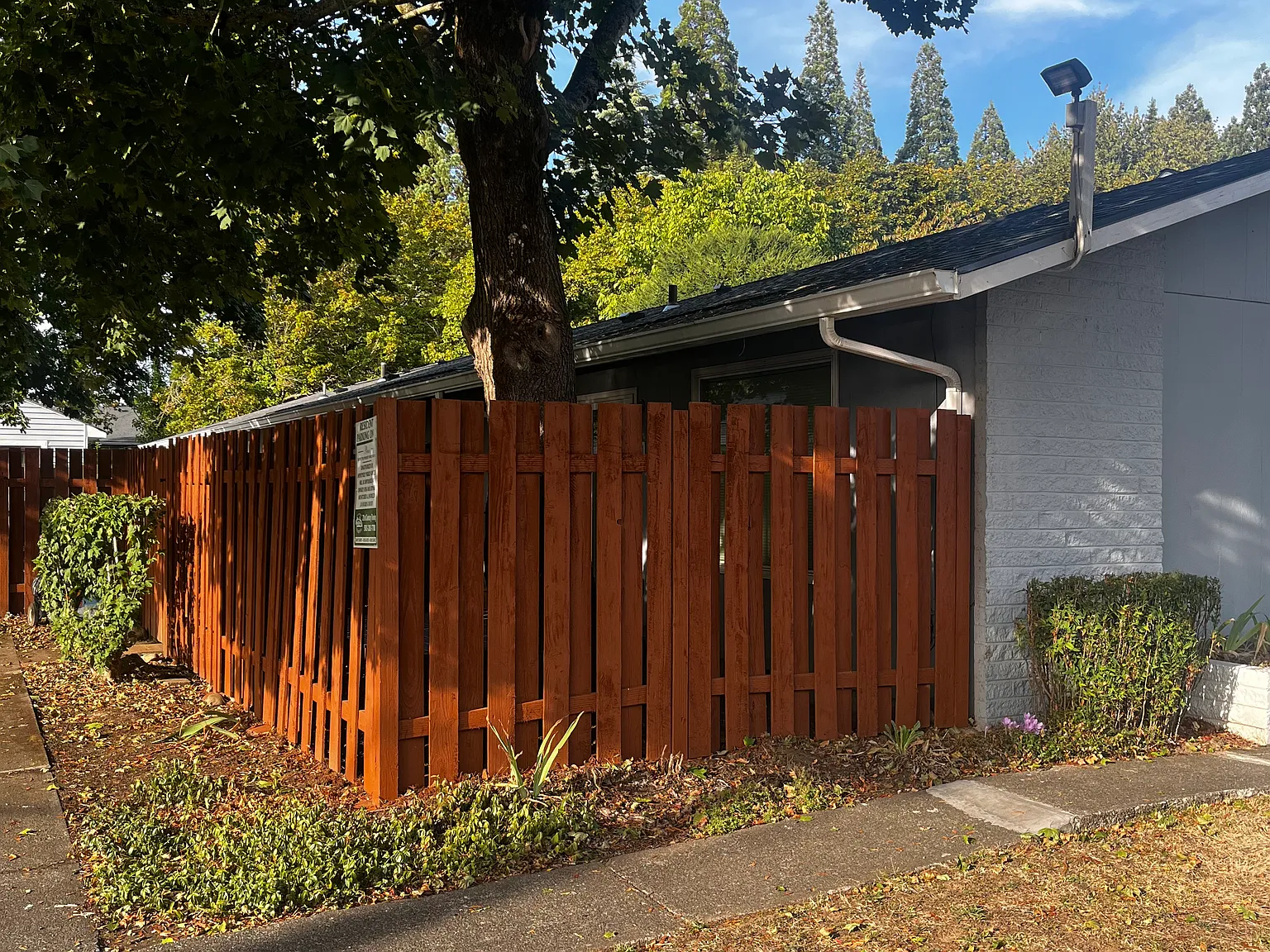 2 bed, 855 sqft, $1,450 — Photo 2