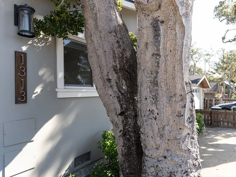 1313 Lawton Ave #A — Photo 27
