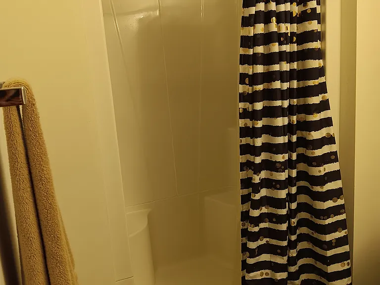 Lower Level Bath