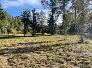 0 Baker Swamp Rd, Midway, GA 31320