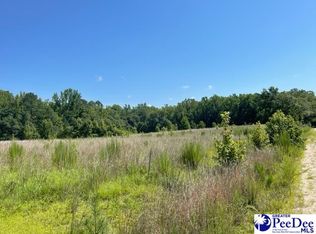 442 Steel Branch Rd, Cheraw, SC 29520