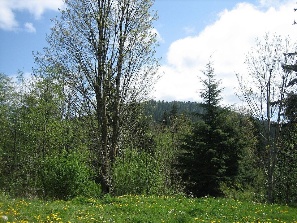 1st image of 9747 352nd Ave SE