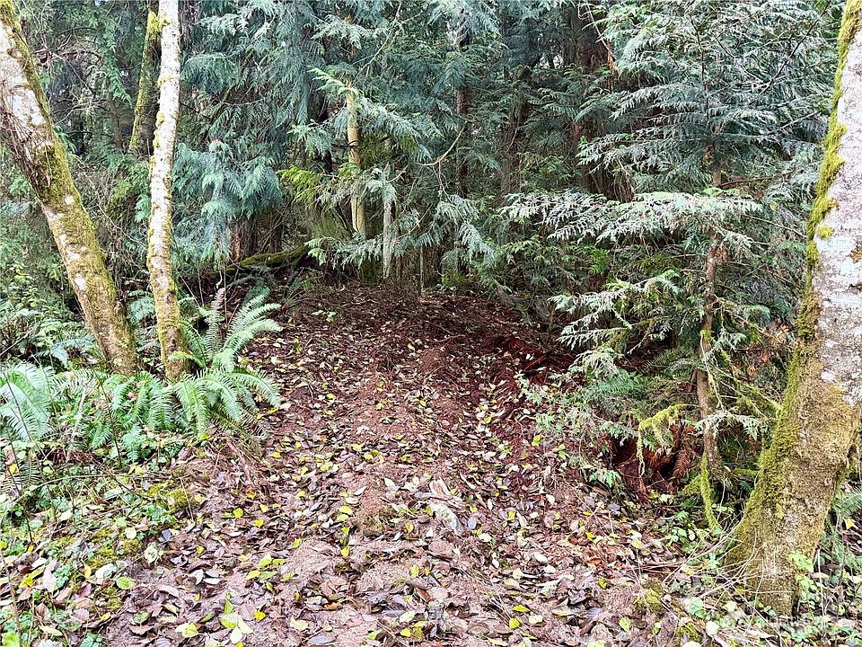 2nd image of 0 XXX Sorrel Lane
