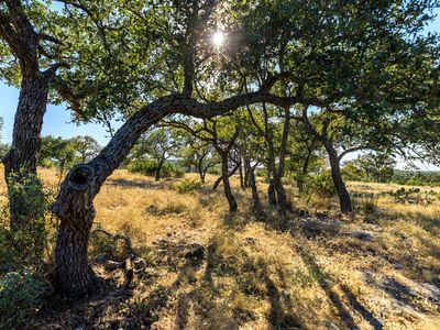 658 Thriving Oak Dr, Fredericksburg, TX, 78624