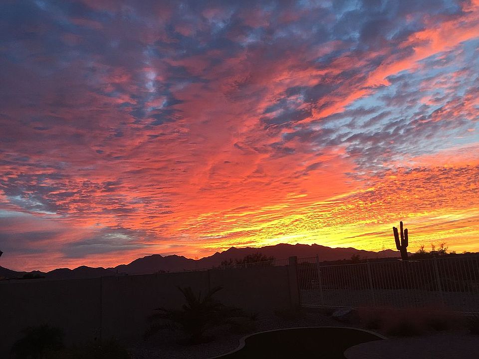 Backyard sunset