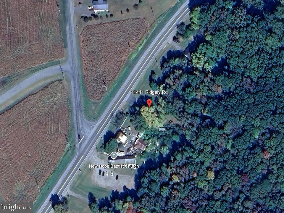 2nd image of 11441 Ridgely Rd