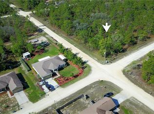 15224 Scaup Duck Ave, Weeki Wachee, FL 34614