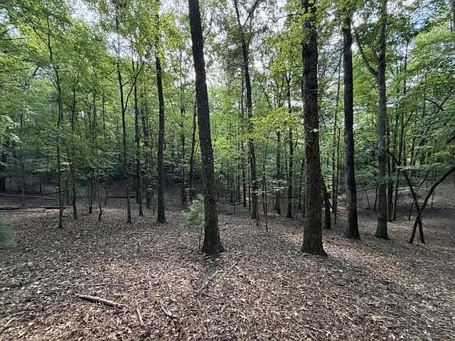 1st image of 556 Satsuma Ct S