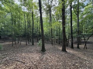 556 Satsuma Ct S, Ellijay, GA 30540