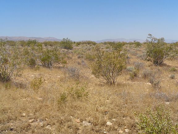 3rd image of 175 Pearblossom Hwy