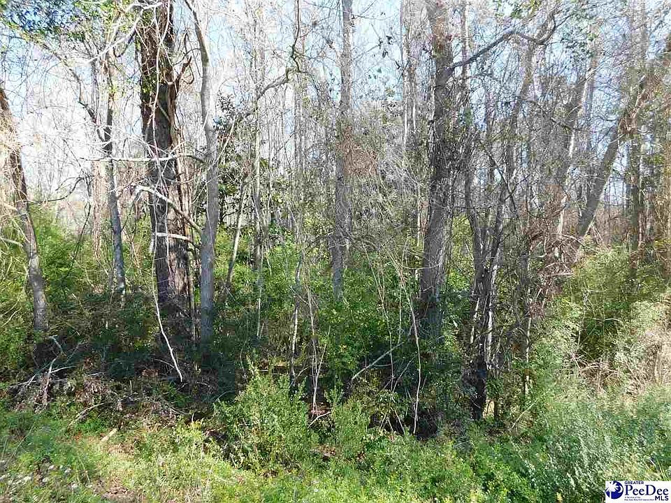 2nd image of 835 Timmons Rd
