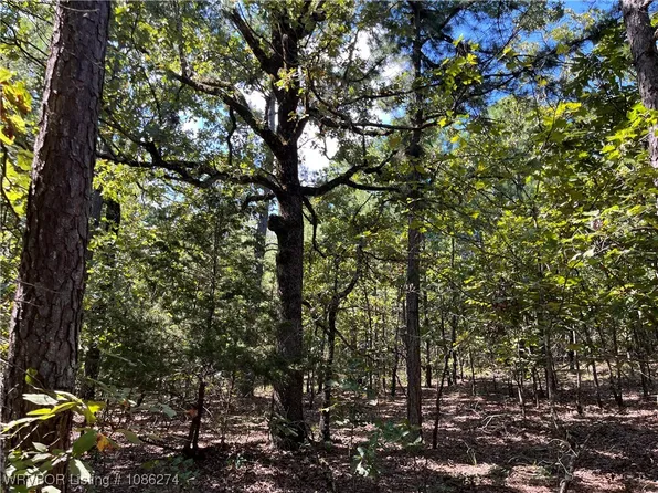 Goat Blf, Wister, OK 74966