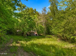 1243 Brandon Hollow Ln, Bulls Gap, TN 37711