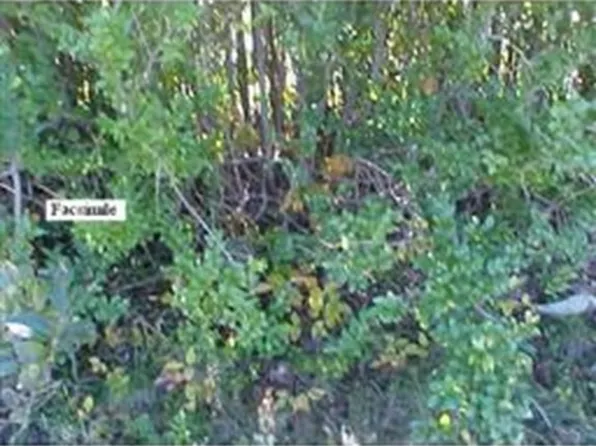 2-0002 S Main St, Berkley, MA 02779