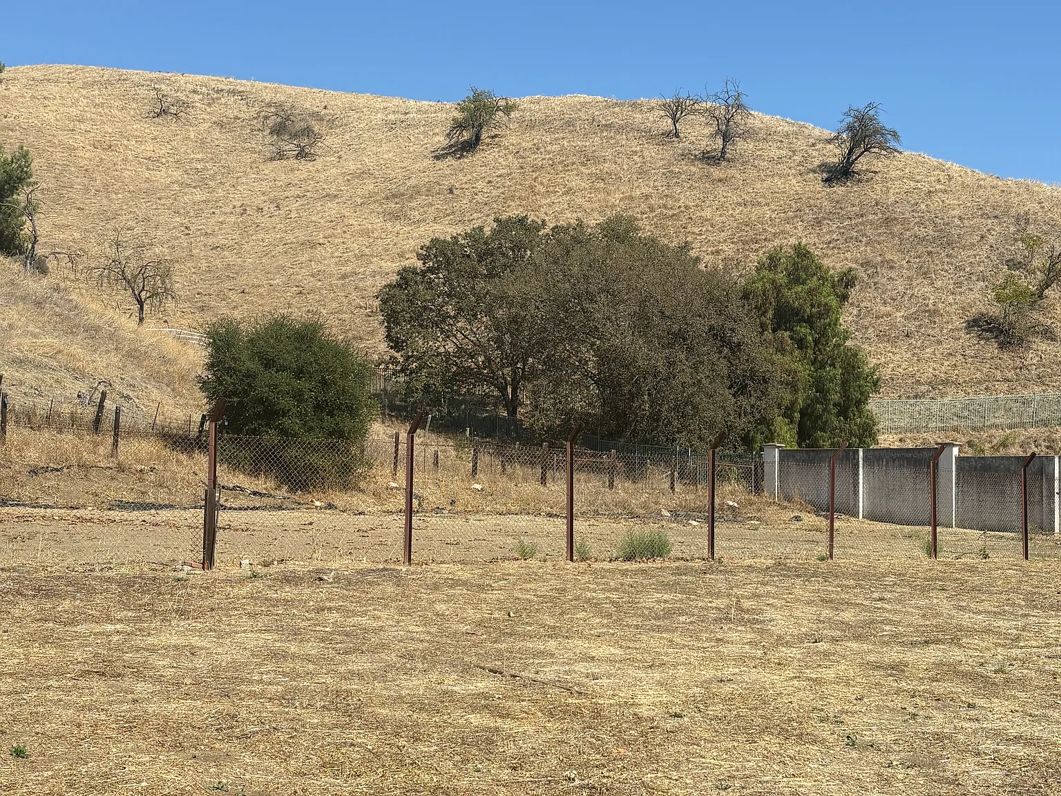 2 bed, 902 sqft, $4,500 — Photo 3