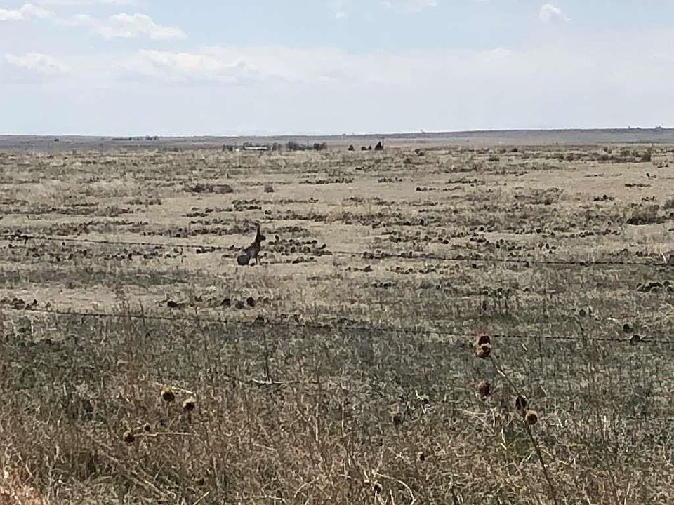 1st image of 0 Wcr 85