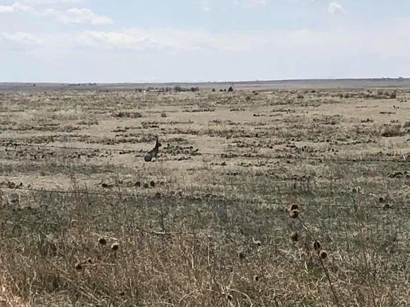 0 Wcr 85, Briggsdale, CO 80611