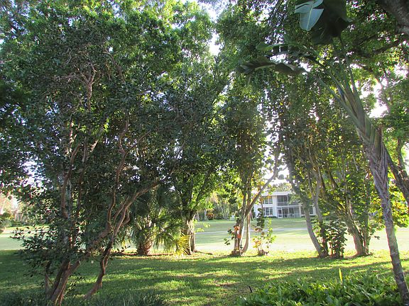 3rd image of 4070 Cypress Hammock Ln